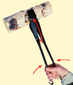 bild-3-kl.jpg